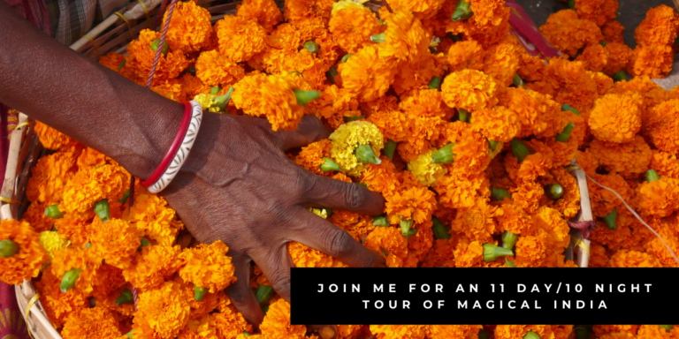 Magical India 6th – 16th April 2020